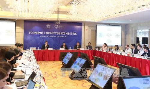 APEC SOM1 enters 11th working day - ảnh 1